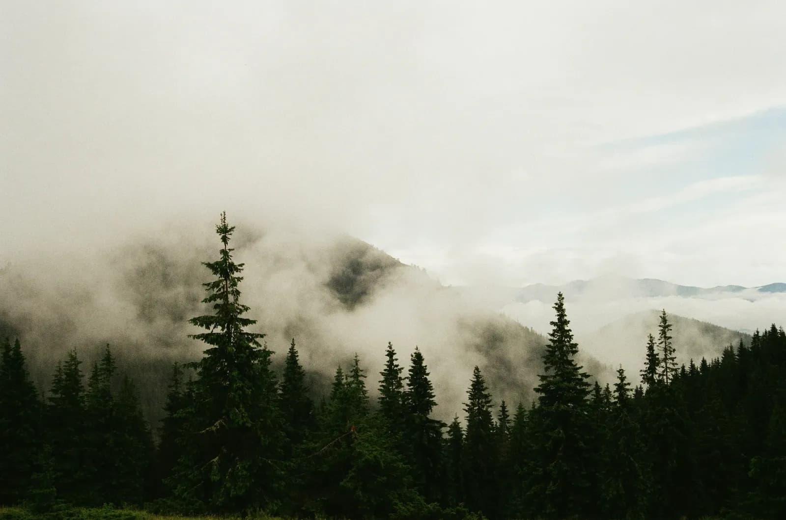Misty forested ridges beneath the mountains