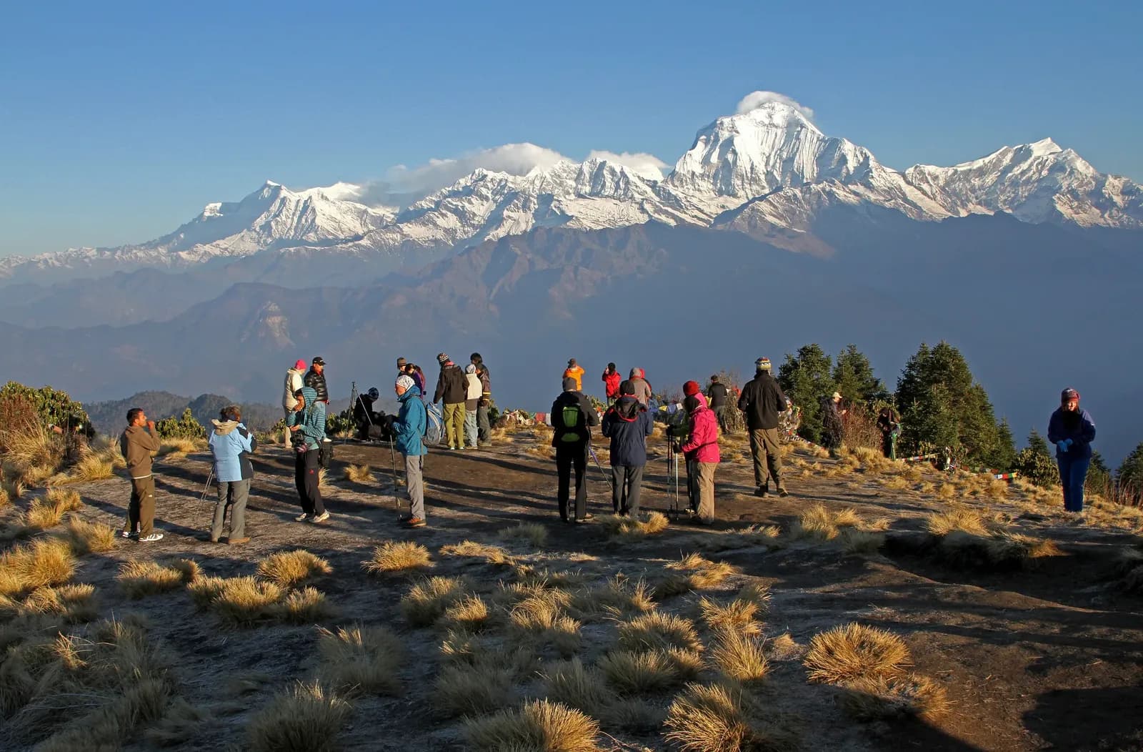 Poon Hill Sunrise Trek